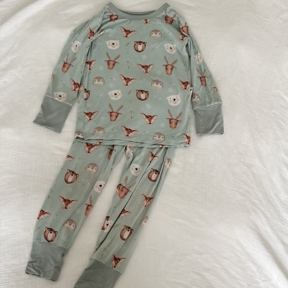 Bamboo Winter Forest Animal Print Pajamas | Lena James & Co | 2T